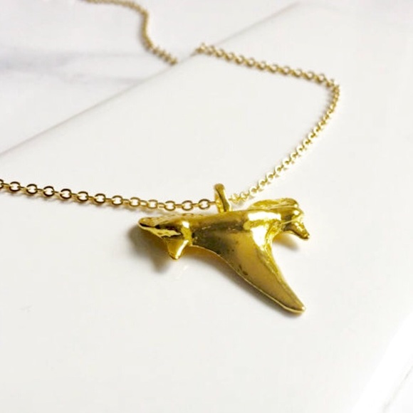 ✨Shark Tooth Necklace✨ - Picture 3 of 4